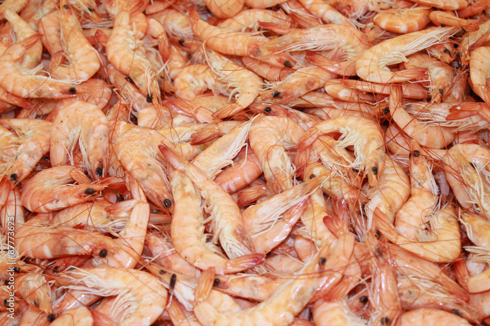 crevettes crevettes