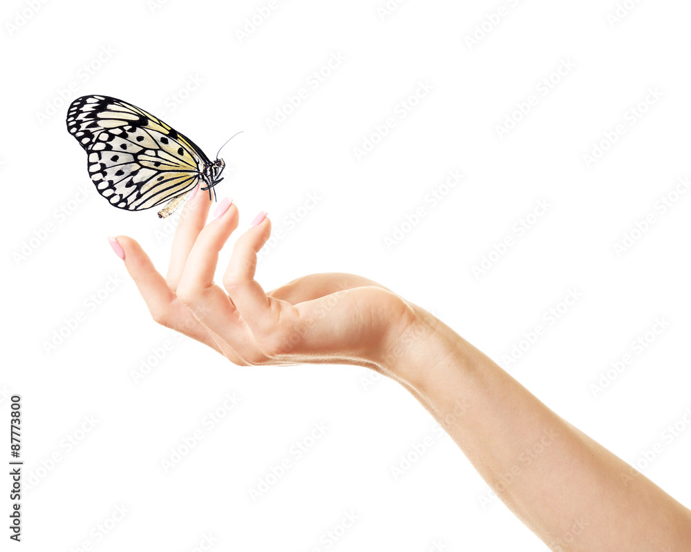 Fototapeta premium Human hand with butterfly isolated on white