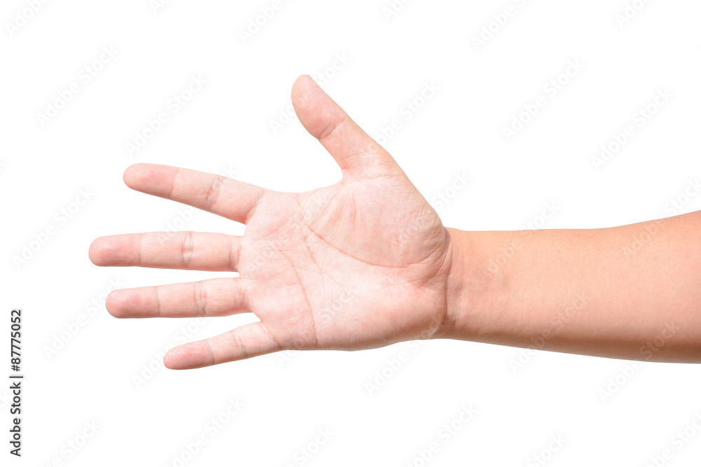 Male hand isolated on white background Male hand isolated on white background