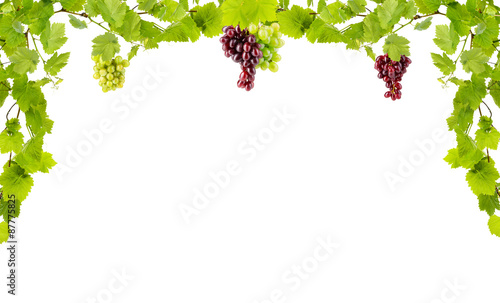 Frame of grape branches with green leaves, isolated on white