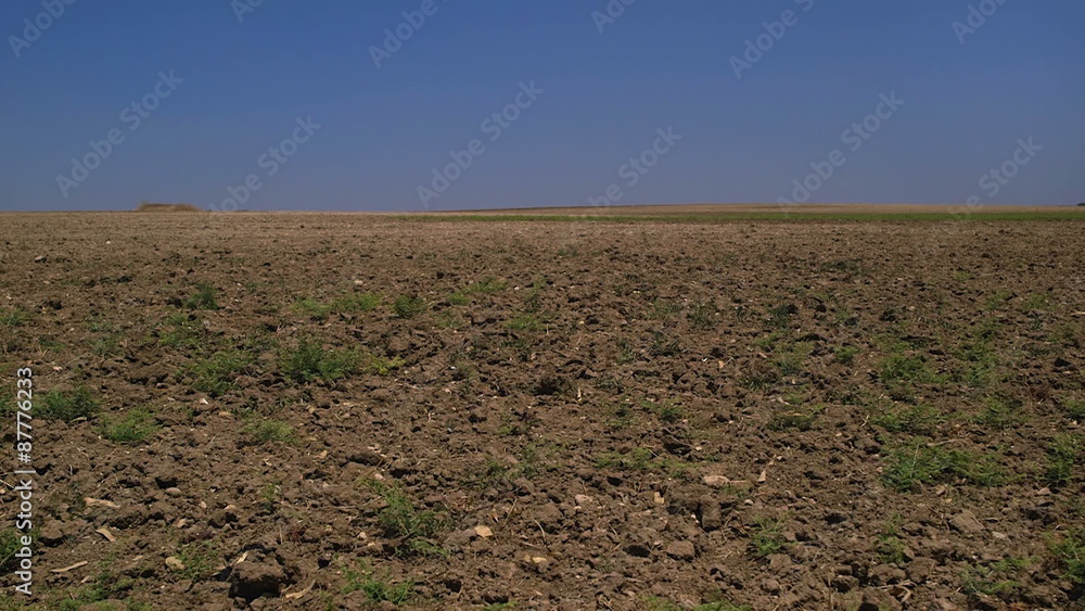 Untilled land in agricultural area.
Long Shot. Untilled land in agricultural area.
Long Shot.