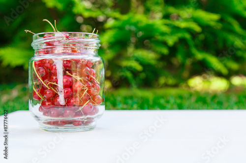 Fresh Red Currant at glass can