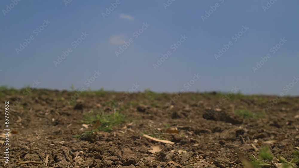 Fog float on rural land area.
Close up shot from the ground. Fog float on rural land area.
Close up shot from the ground.