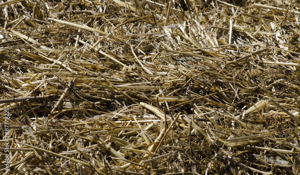 texture of straw