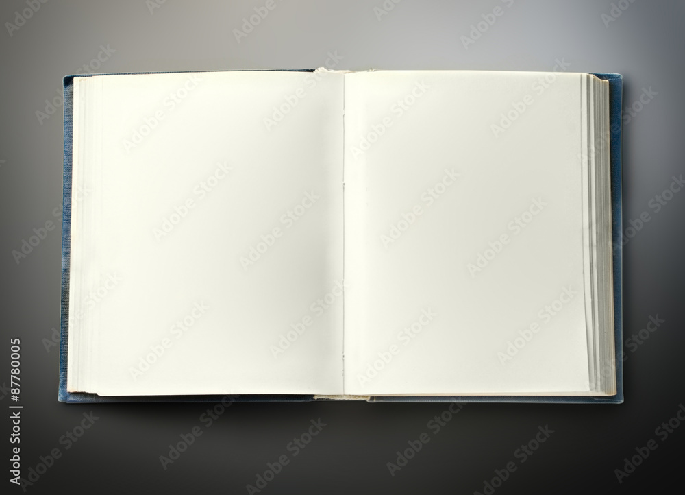 Blank opened book Blank opened book