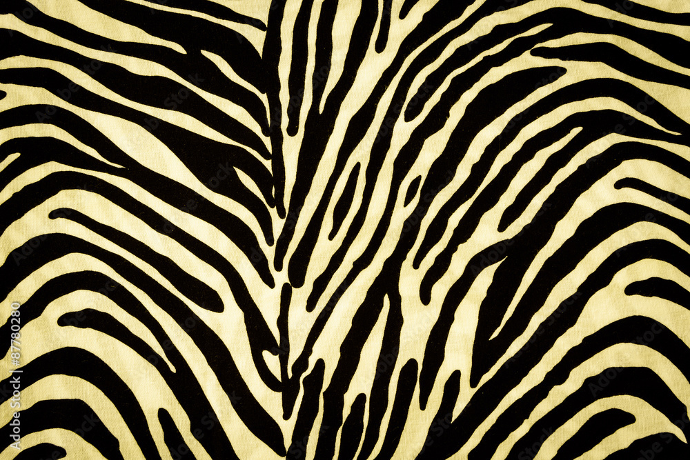 Fototapeta premium Tekstura tkaniny Zebra na tle