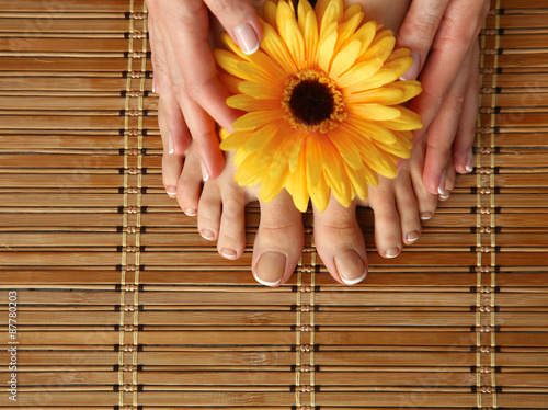 Care for beautiful woman legs with flower photo