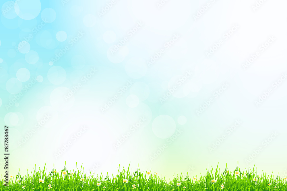 Fresh green grass with blue bokeh and sunlight. Beauty natural b