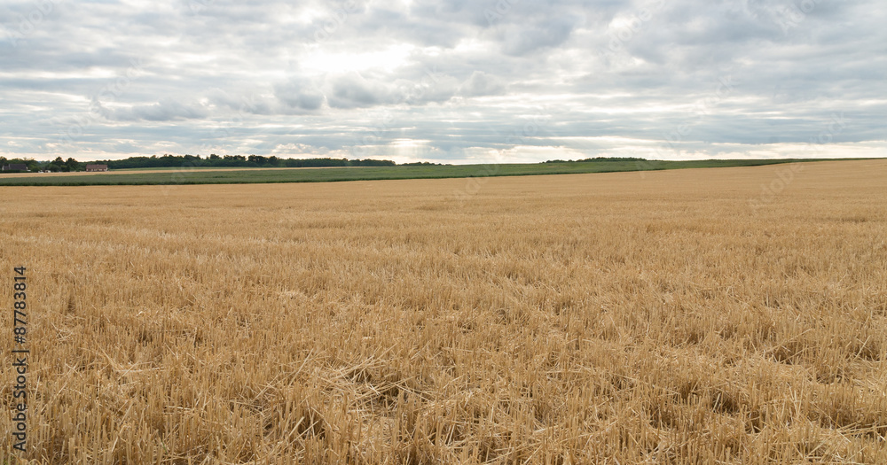 Paysage de campagne, champs Paysage de campagne, champs