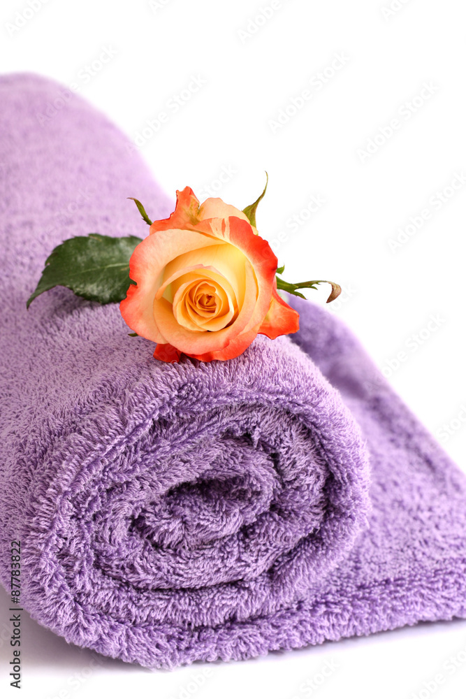 isolated lilac towel with yellow rose with copy space
isolated lilac towel with yellow rose with copy space