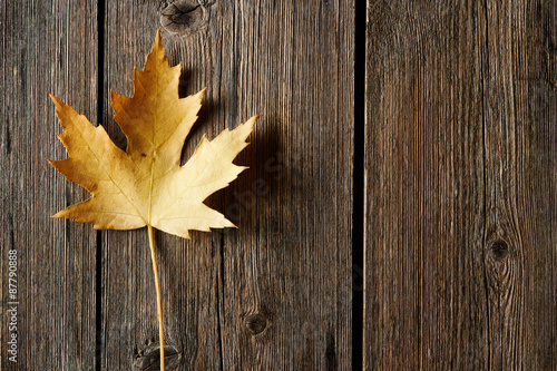 Autumn maple leaf over wooden background