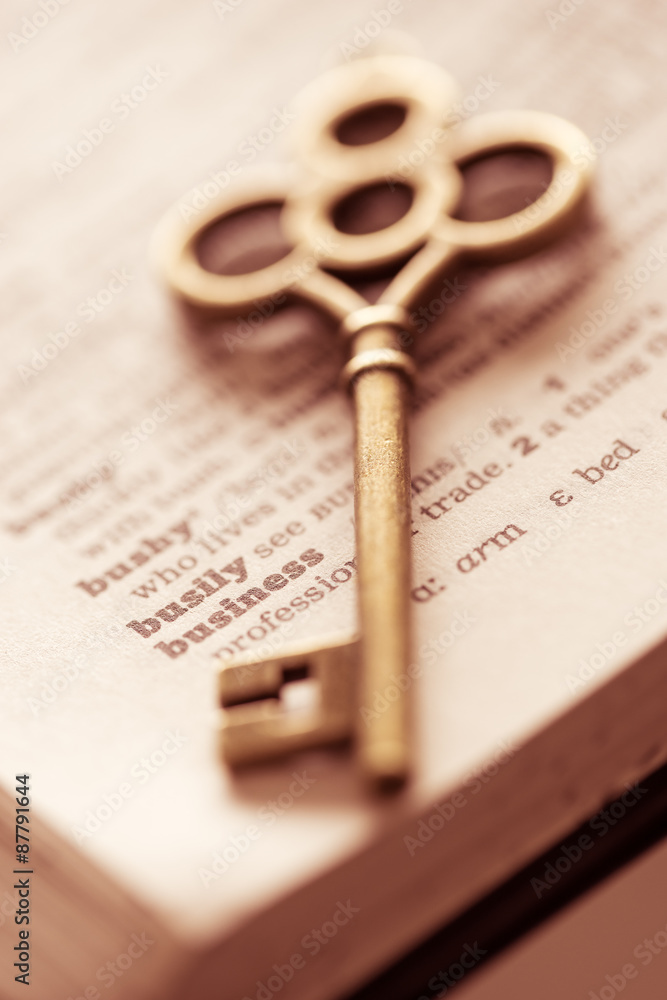 Business concept key for success Business concept key for success