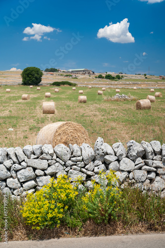 Dry stone wall and sheaves in the fields near Ragusa, Sicily photo