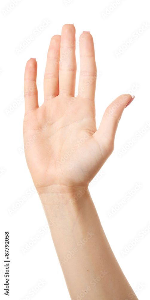 Female hand isolated on white Female hand isolated on white