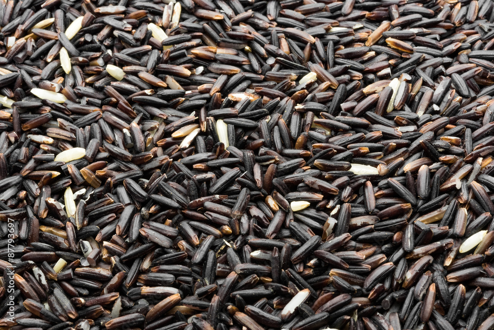 rice rice