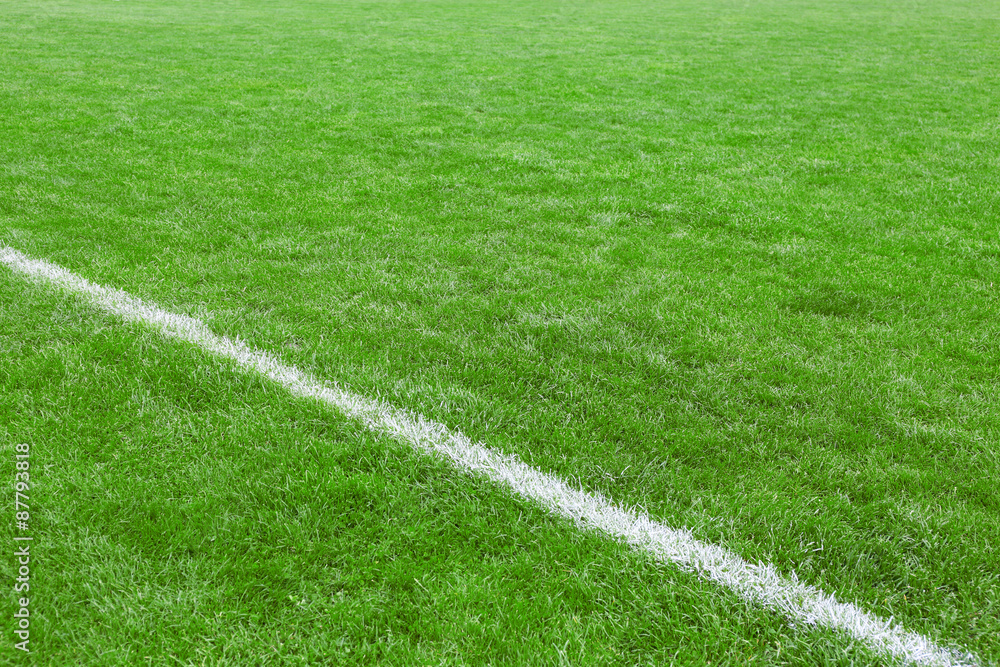 Obraz premium Football field stadium background