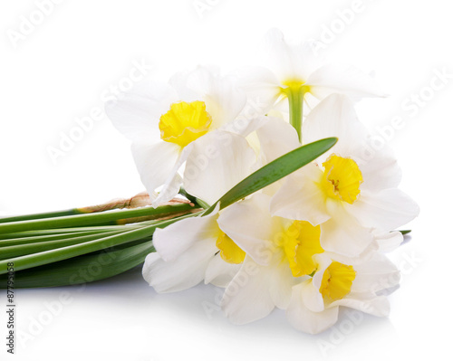 Fototapeta Naklejka Na Ścianę i Meble -  Beautiful bouquet of daffodils isolated on white