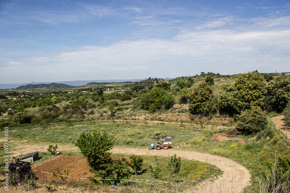 Fototapeta premium Contryside landscape with forrest and field