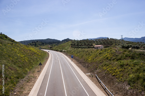 Countryside road in sunny day