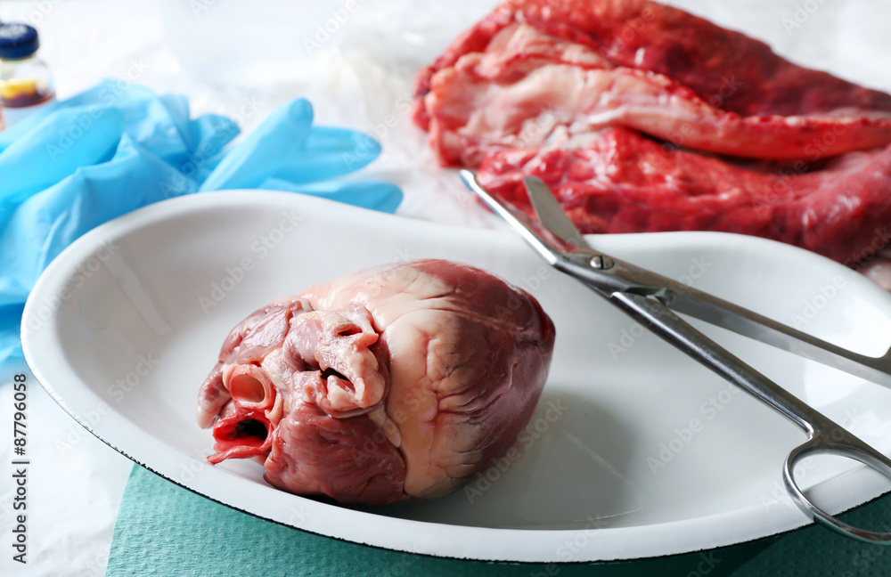 Heart organ in medical metal tray with tools on table close up
