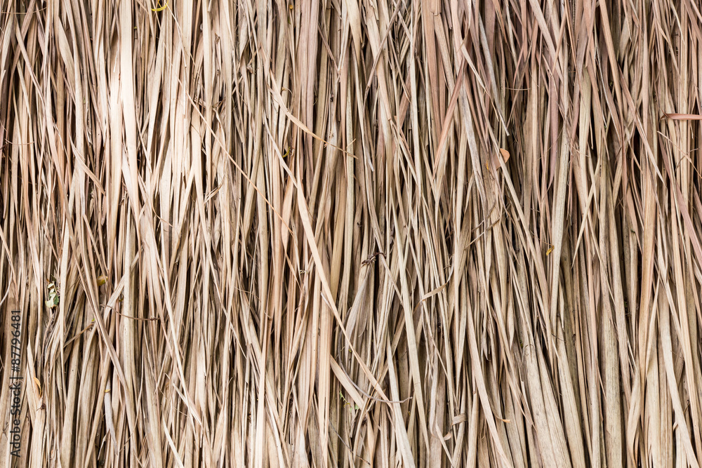 Thatch roof background, hay or dry grass background. Thatch roof background, hay or dry grass background.