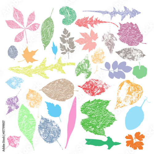 multicolor Autumn leaf silhouettes, seasonal