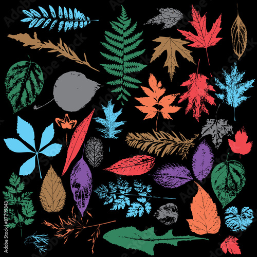 multicolor Autumn leaf silhouettes, seasonal