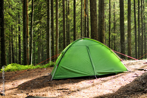 tent in the pine forest