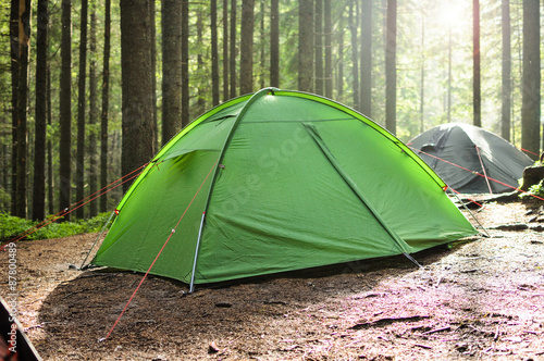 tents in the pine forest