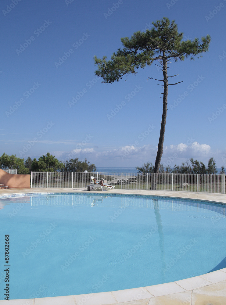 pool and tree, on the sea in corsica, france