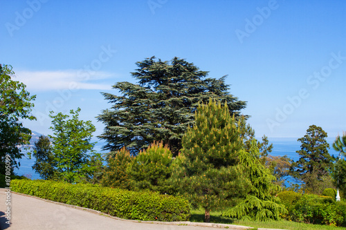 Livadia palace photo