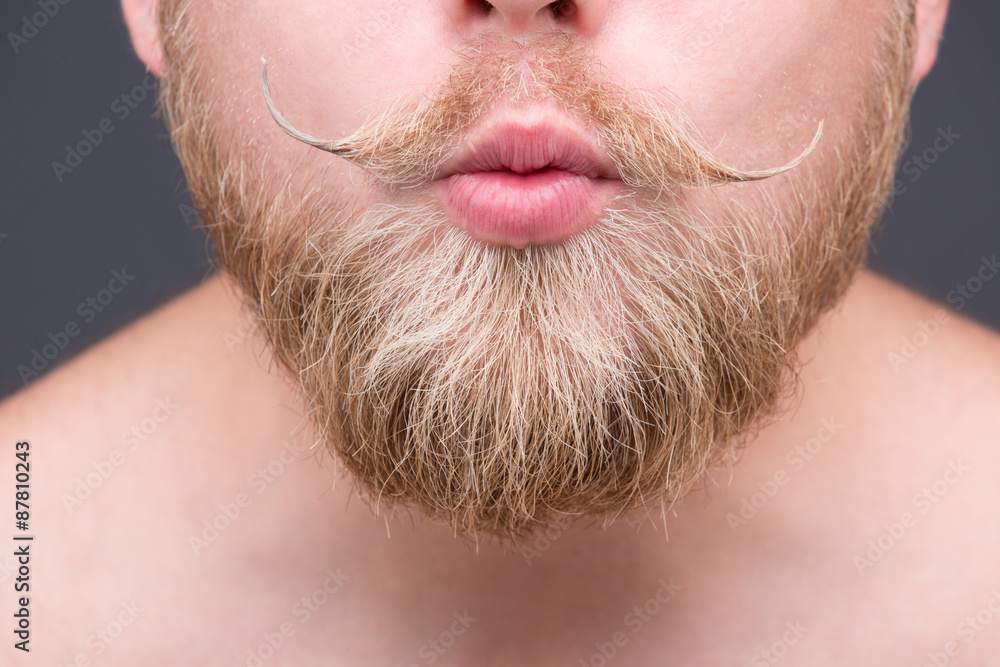 Naklejka premium Beard