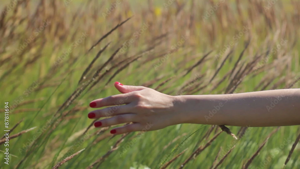 Girl Goes Touching the Grass Hand Girl Goes Touching the Grass Hand