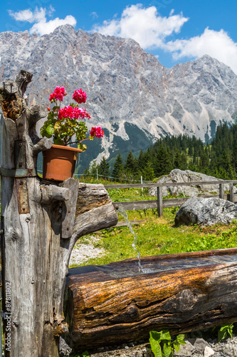 Fototapeta Naklejka Na Ścianę i Meble -  Summer in the Alps
Geraniums on a water fountain with the Wettersteinmassiv in the background
