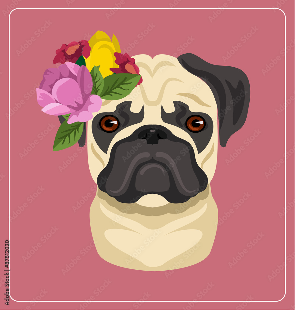 Vector pug dog portrait flat illustration