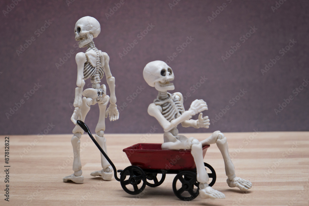 Fototapeta premium Skeletons playing toy wagon