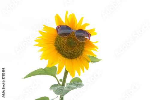 Fototapeta Naklejka Na Ścianę i Meble -  Sonnenblume mit Sonnenbrille