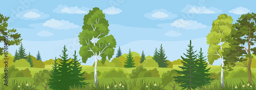 Seamless Horizontal Landscape, Summer Forest