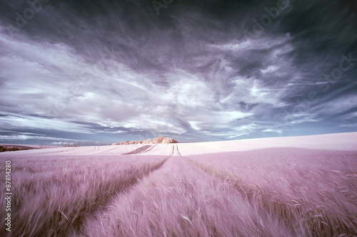 Photography Stunning surreal false color infrared Summer landscape over agri