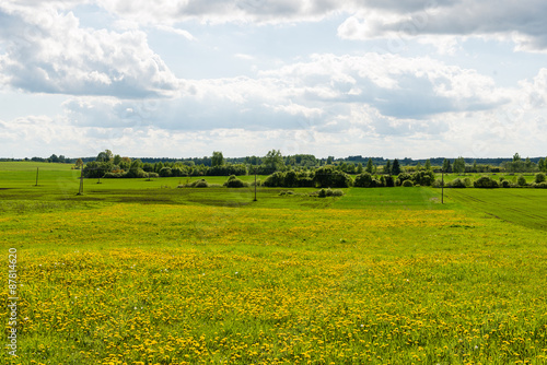 Fototapeta Naklejka Na Ścianę i Meble -  beautiful green fields under blue sky in summer