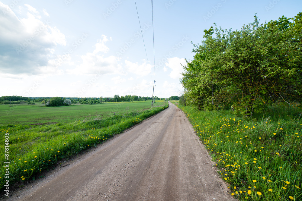 Country roads in perspective from above