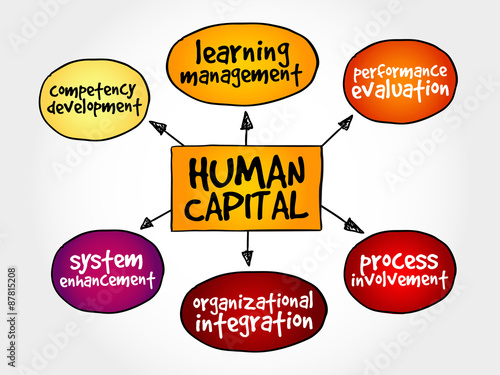 Human capital mind map, business management strategy concept
