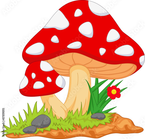 mushroom
