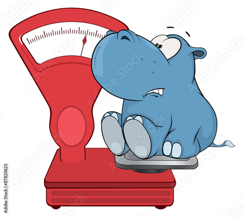 A little hippo and a weighing scale. Cartoon