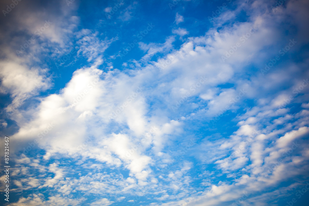 cirrus clouds in the blue sky cirrus clouds in the blue sky