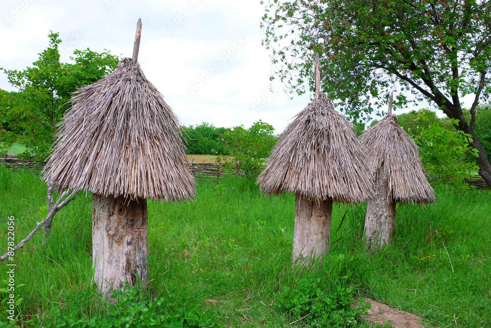 Old wooden bee hives in garden
