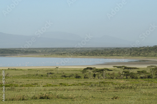 Ndutu, aire de conservation, zone protégée, vallée du grand rift, Tanzanie, Afrique de l'Est photo
