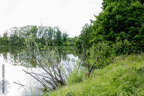 Old park with ponds clean. Ponds bushes green trees and bushes. The water in the ponds of spring transparent. Fotoshoot summer on a cloudy day.
