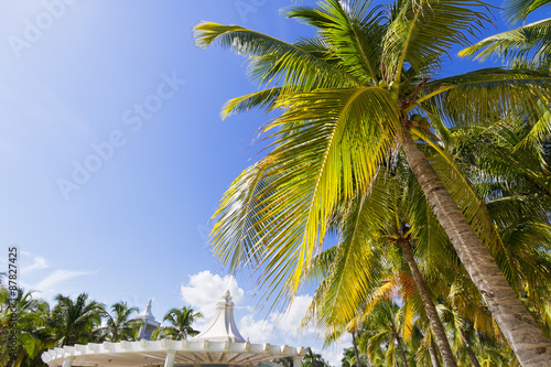 Caribbean beach.