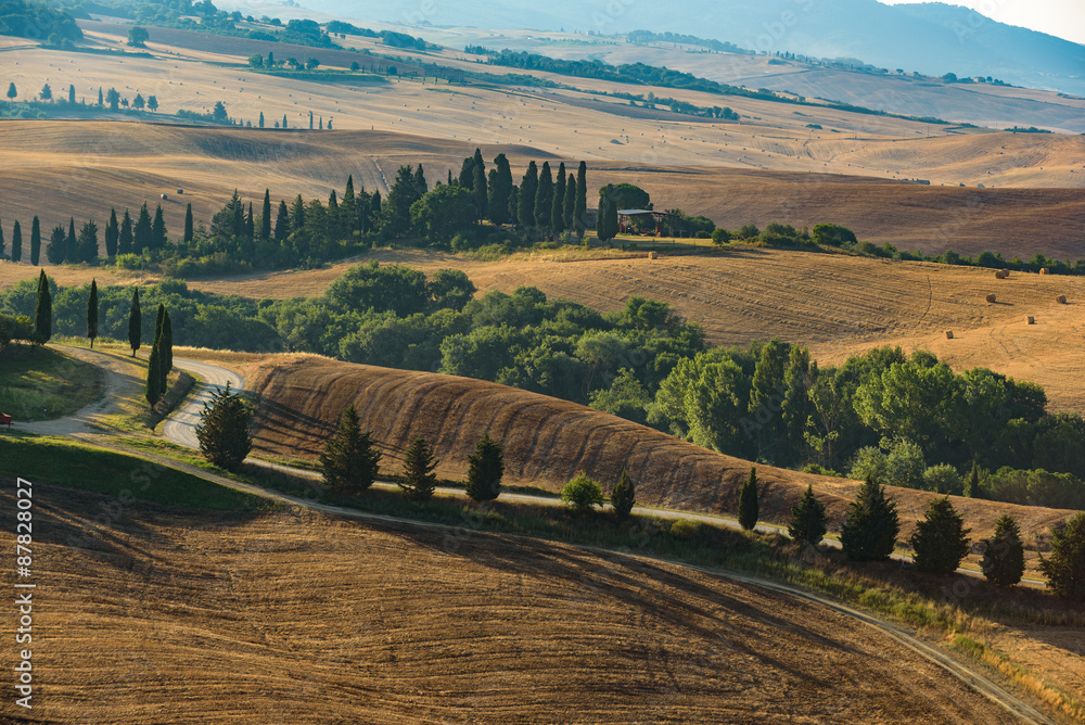 Tuscan classic summer landscape